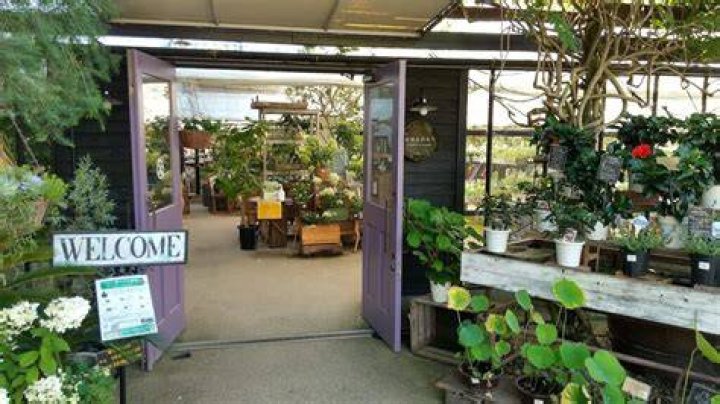 大阪 大型 園芸 店