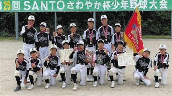 志津 少年 野球 部