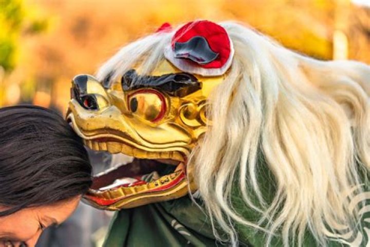 獅子舞 噛ま れる
