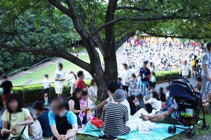 若葉台 公園 夏 祭り