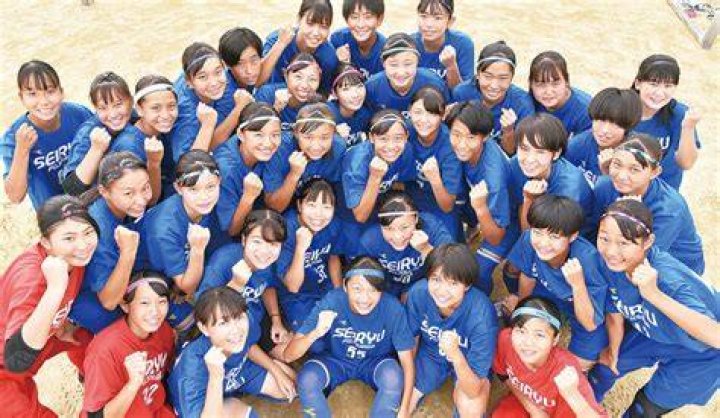 藤沢 清流 高校 女子 サッカー 部