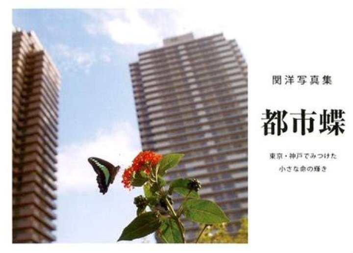 関 洋